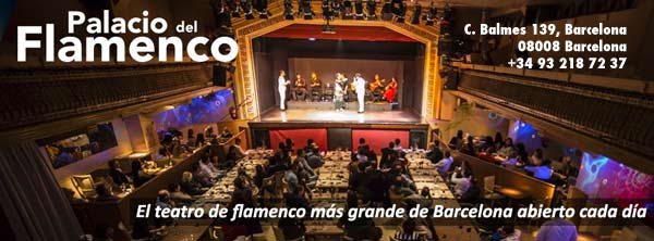 Palacio del Flamenco